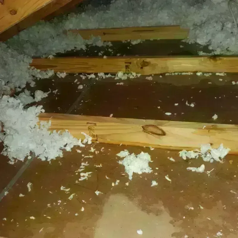 Attic Water Damage in Montgomery County, IL