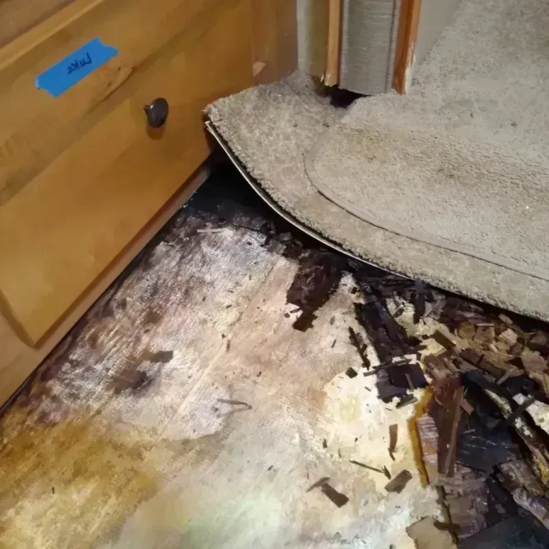 Wood Floor Water Damage in Montgomery County, IL